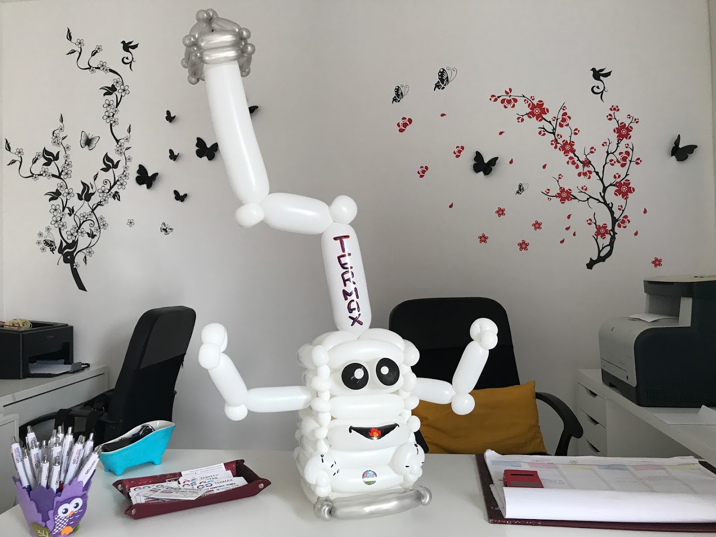 Termax Assistenza Caldaie e Climatizzatori Massimiliano Baiocco — Foto 2
