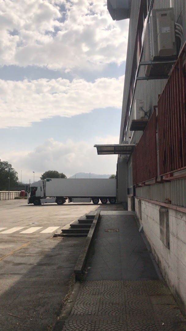 Termax Assistenza Caldaie e Climatizzatori Massimiliano Baiocco — Foto 1